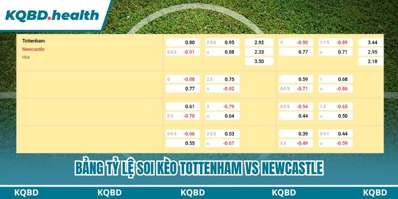 Bảng tỷ lệ soi kèo Tottenham vs Newcastle